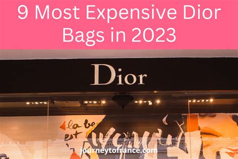 best dior bag to buy|most expensive Dior bag.